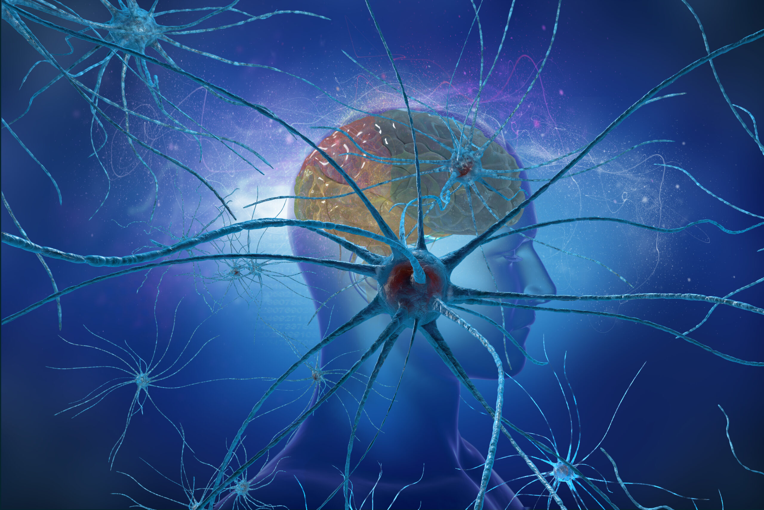 brain-and-neurons-illustration