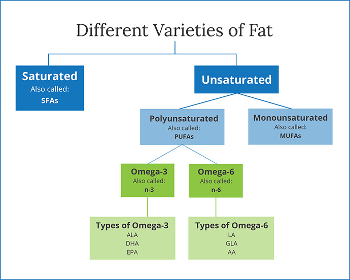 different-varieties-of-fat-chart