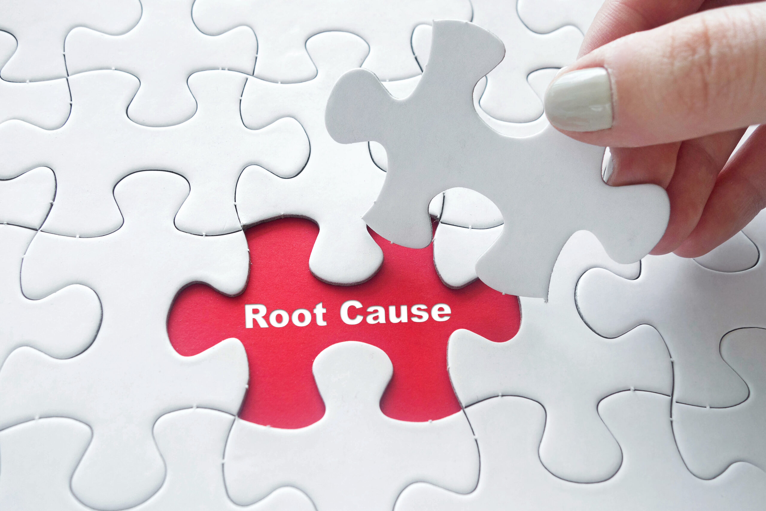 functional-medicine-root-cause-puzzle